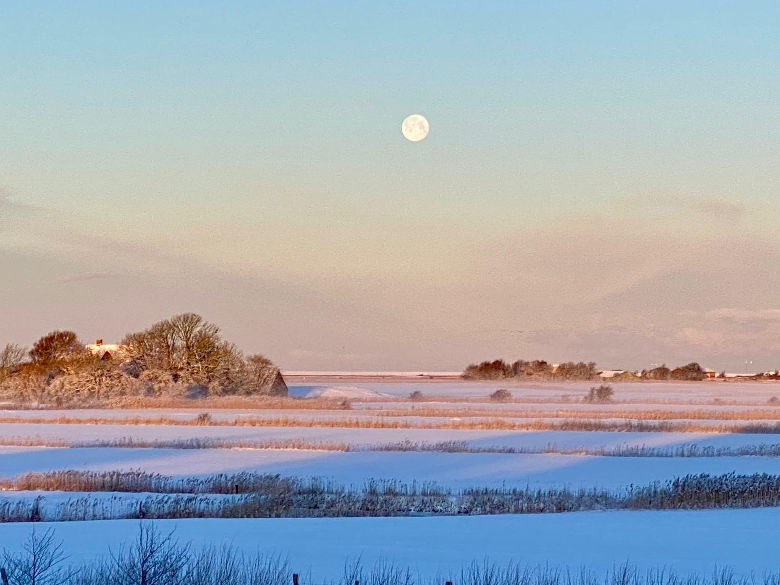 Catharinenwarft Winter